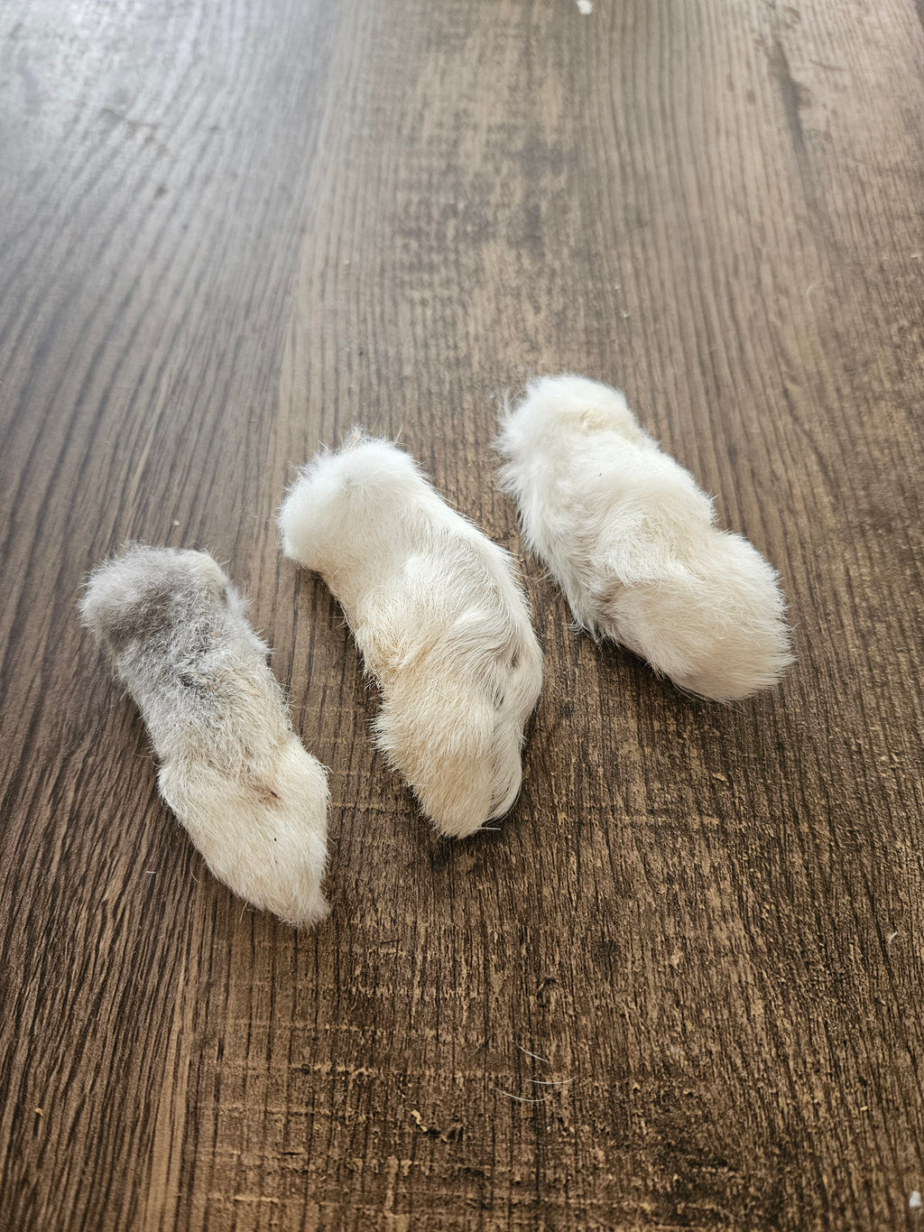 Rabbits foot